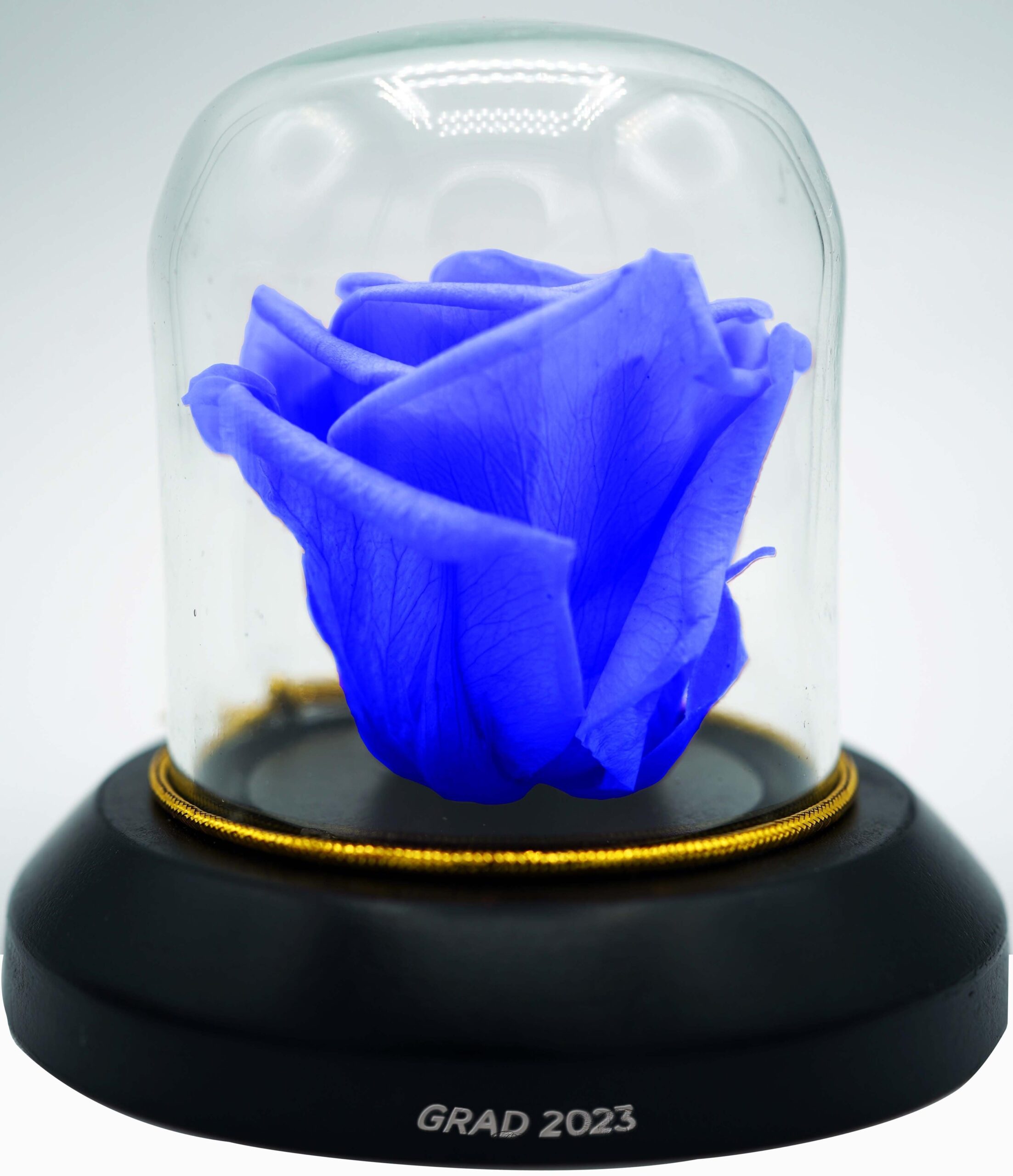 Blue Rose